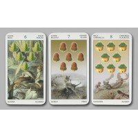 Les tarot des lutins