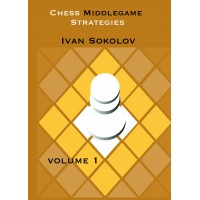 Sokolov - Chess Middlegame strategies 1