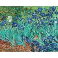 Puzzle 1000 pièces - Les Iris de Van Gogh