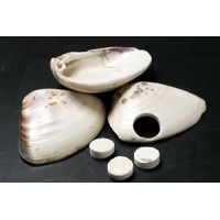 Pierres de Go Coquillage 7.5 mm - Jitsuyo