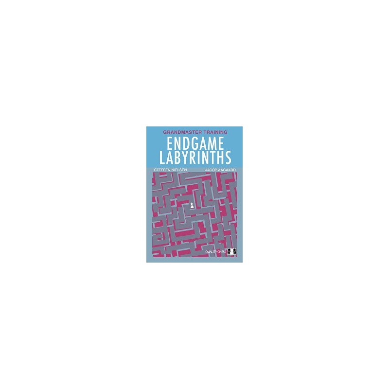 Nielsen & Aagaard - Endgame Labyrinths