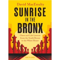 MacEnulty - Sunrise in the Bronx