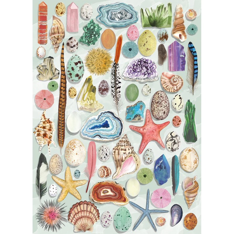 Puzzle 1000 pièces - Natural Curiosities