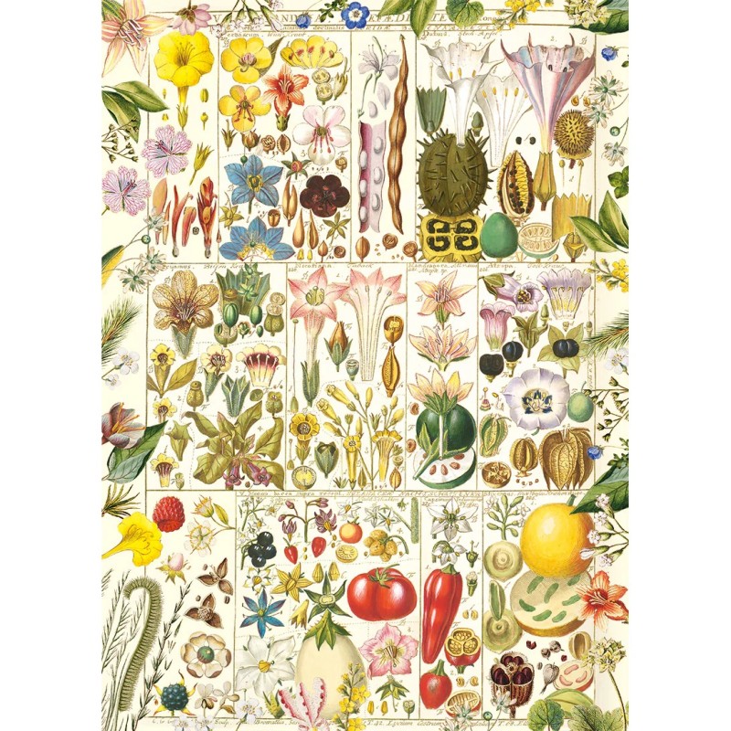 Puzzle 1000 pièces - Botanical Bliss