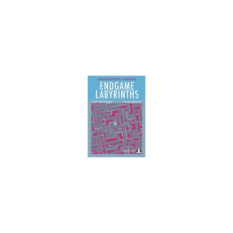 Endgame Labyrinths by Aagaard and Nielsen