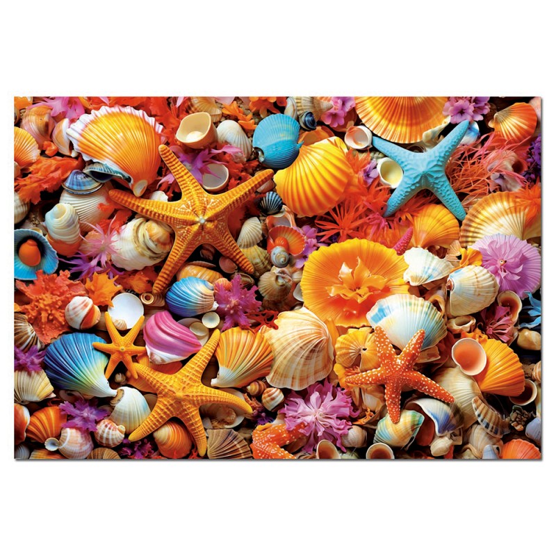 Puzzle 1000 pièces - Collage de Coquillages