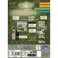 Forêt Mixte Dartmoor