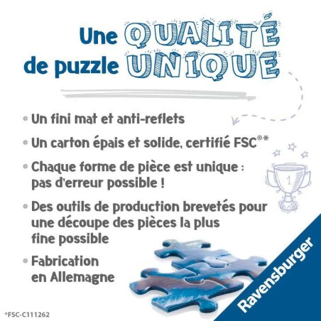 Puzzle 2000 pièces - Pise et le Monte Pisano