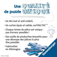 Puzzle 2000 pièces - Pise et le Monte Pisano