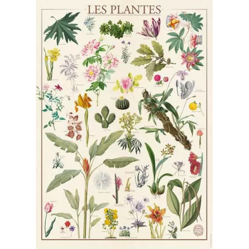 Puzzle 1500 pièces - Les...