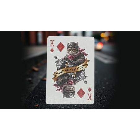 Cartes Bicycle Biker Cats