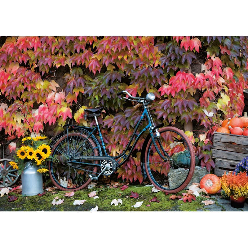 Puzzle 1000 pièces - Automne