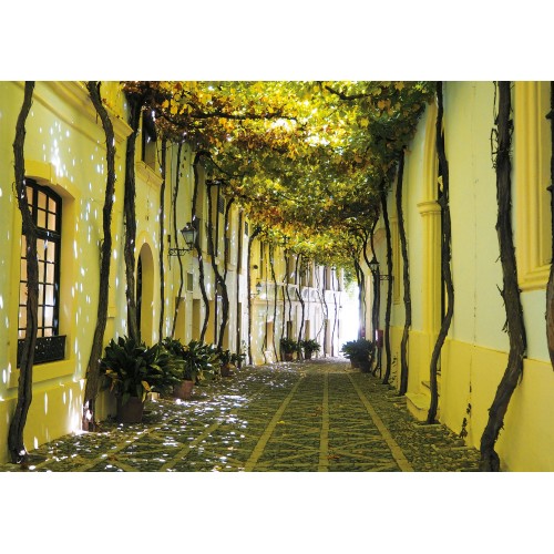 Puzzle 1000 pièces - Ruelle...