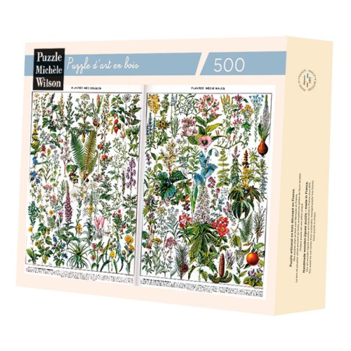 PLANTES MEDICINALES