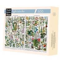 PLANTES MEDICINALES