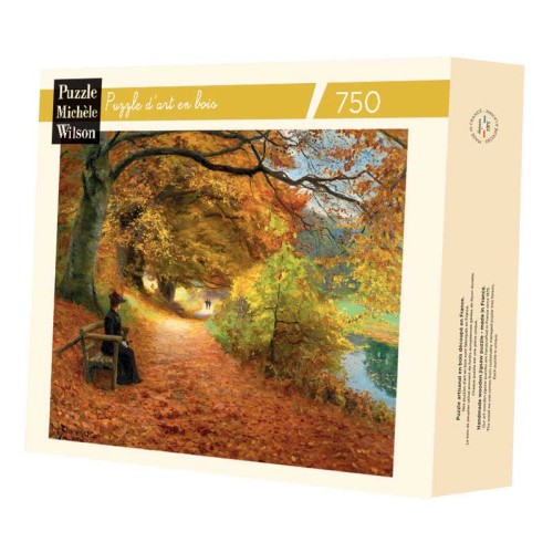 CHEMIN BOISE EN AUTOMNE