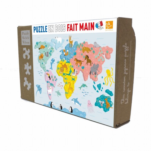 CARTE DU MONDE ILLUSTREE
